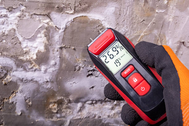 Best Attic Mold Removal  in Bluffton, IN