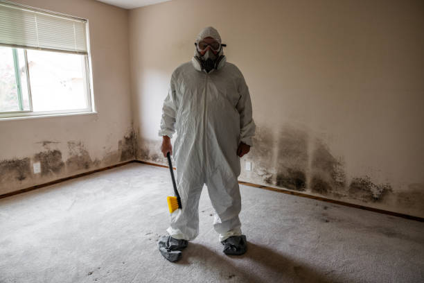Attic Mold Removal in Bluffton, IN